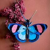 Insects Small - Peacock Butterfly
