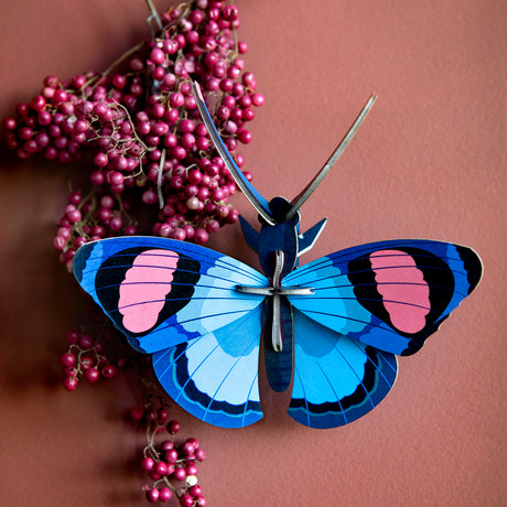 Insects Small - Peacock Butterfly