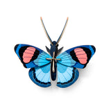 Insects Small - Peacock Butterfly