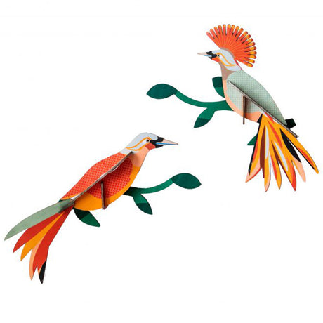 Birds - Paradise Bird Obi (Pair)