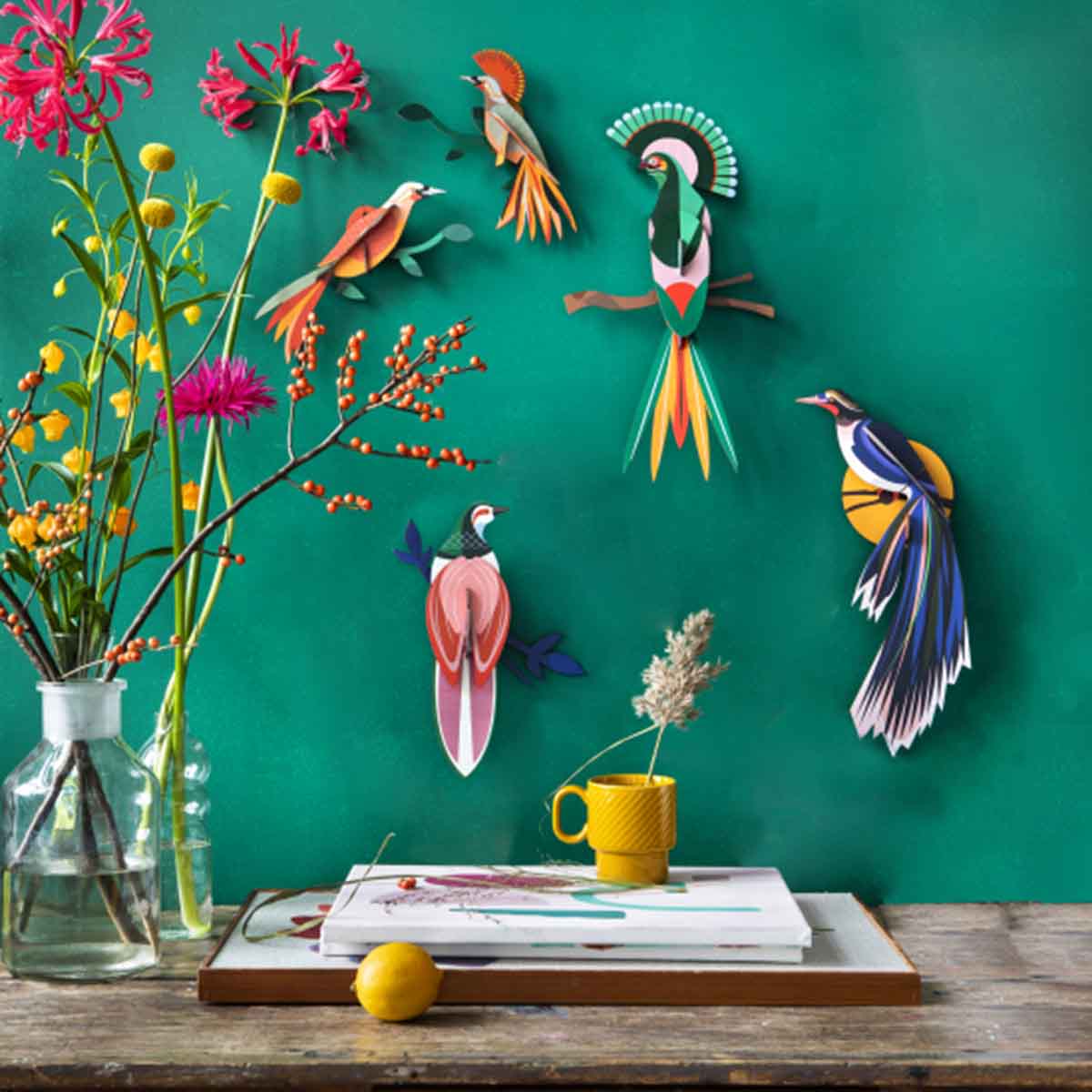 Birds - Paradise Bird Obi (Pair)