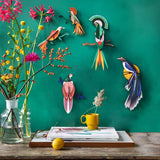 Birds - Paradise Bird Obi (Pair)