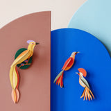 Birds - Paradise Bird Obi (Pair)