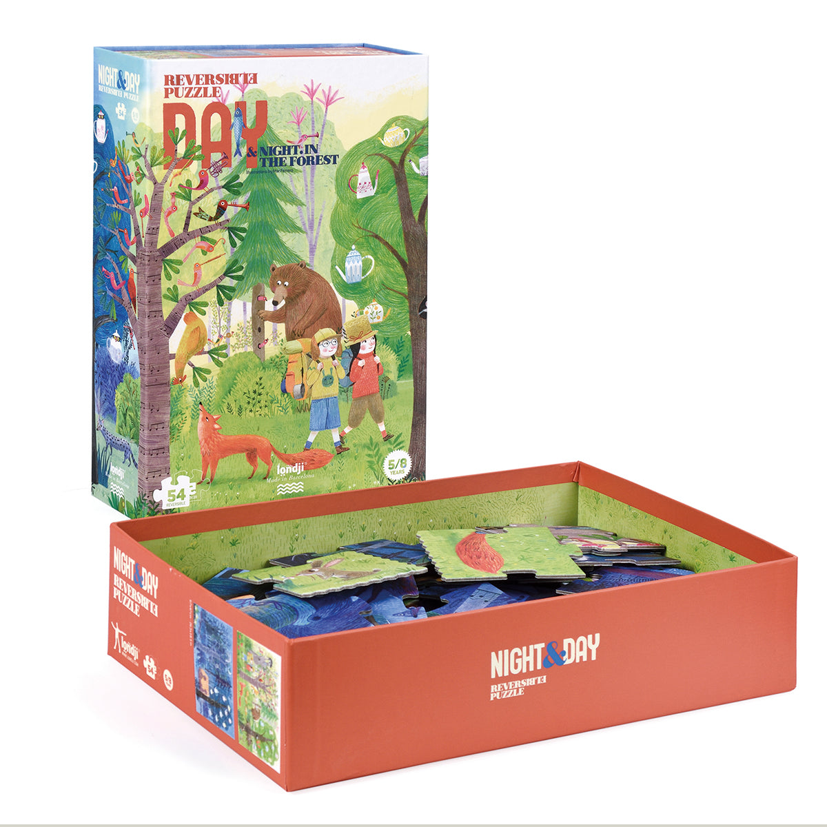 Night and Day Puzzle