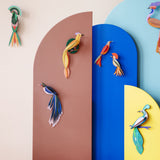 Birds - Paradise Bird Gili