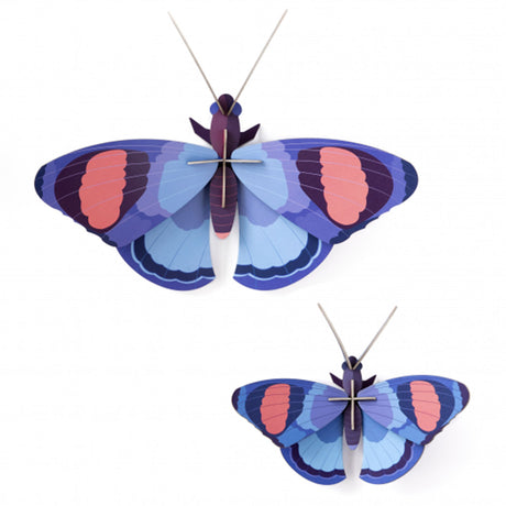 Insects Deluxe - Giant Peacock Butterflies