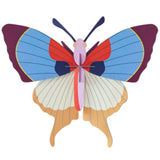 Insects Big - Plum Fringe Butterfly