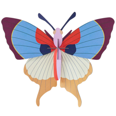 Insects Big - Plum Fringe Butterfly