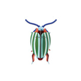 Insects Small - Rainbow Leaf Beetle