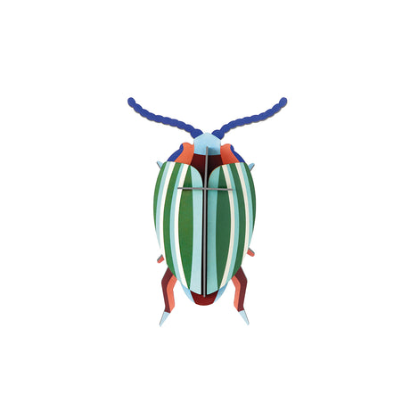 Insects Small - Rainbow Leaf Beetle