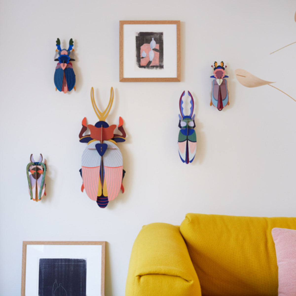 Insects Deluxe - Giant Rhinoceros Beetle