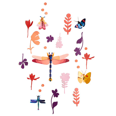 Wall of Curiosities - Insect Connoisseur