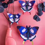 Insect Set - Swallowtail Butterflies