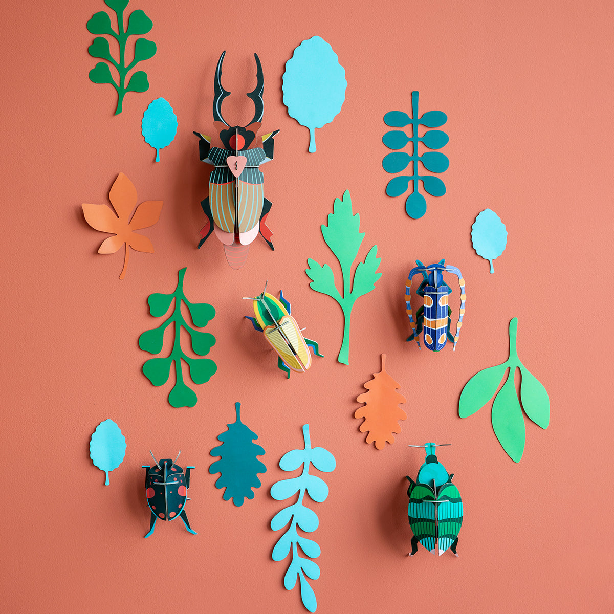 Wall of Curiosities - Beetle Antiquary