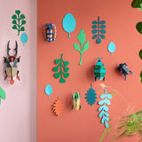 Wall of Curiosities - Beetle Antiquary