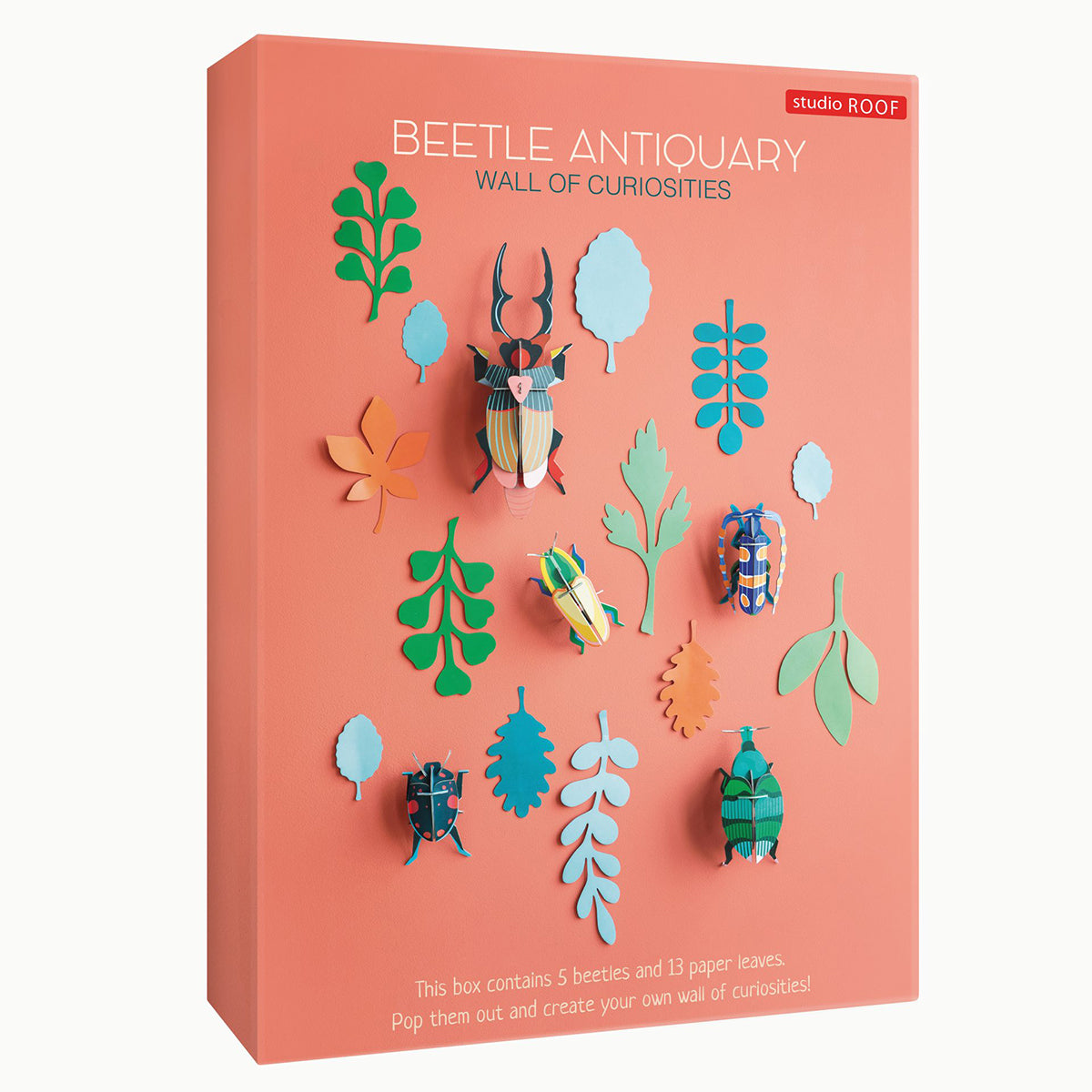 Wall of Curiosities - Beetle Antiquary