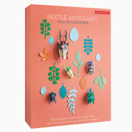Wall of Curiosities - Beetle Antiquary