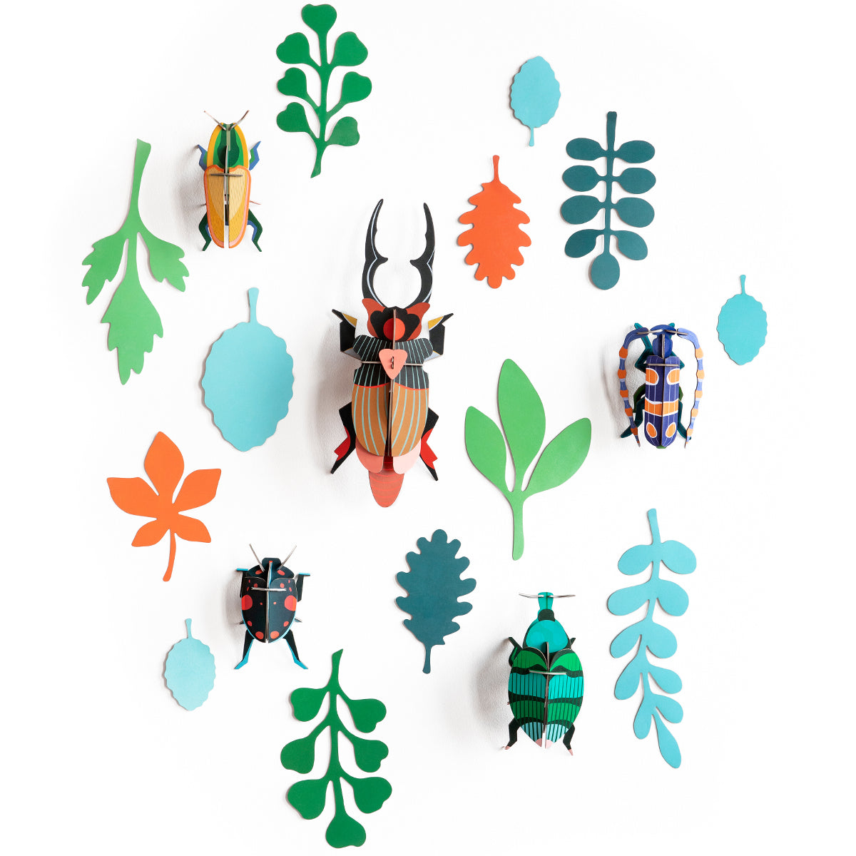 Wall of Curiosities - Beetle Antiquary