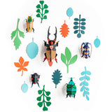 Wall of Curiosities - Beetle Antiquary