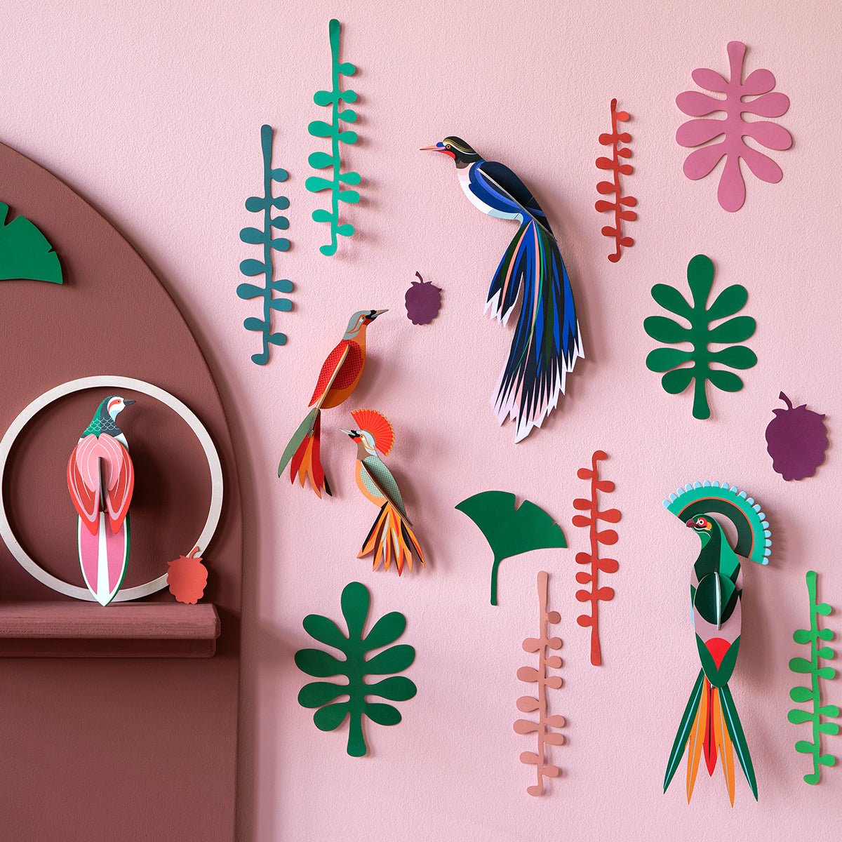 Wall of Curiosities - Bird Observer