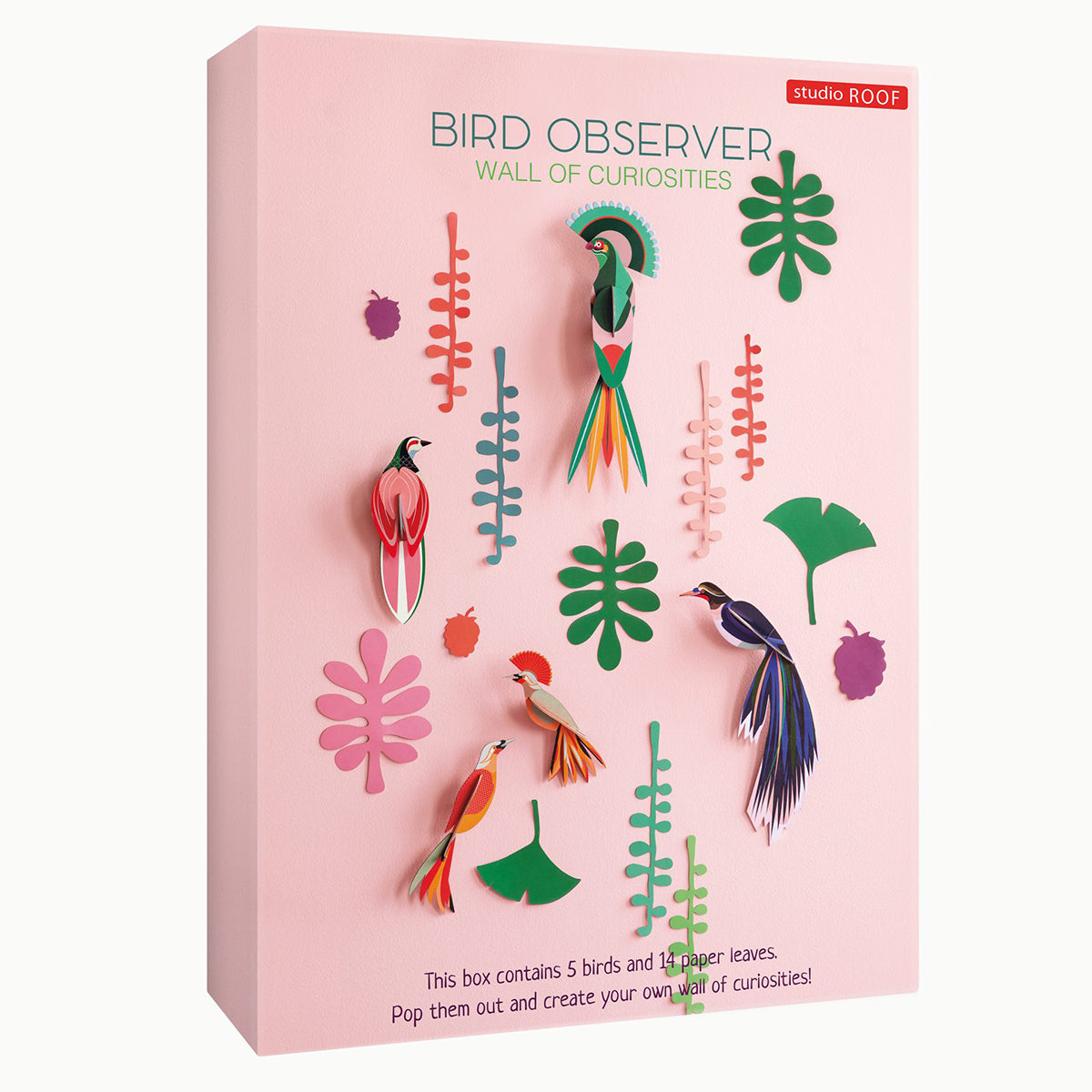 Wall of Curiosities - Bird Observer