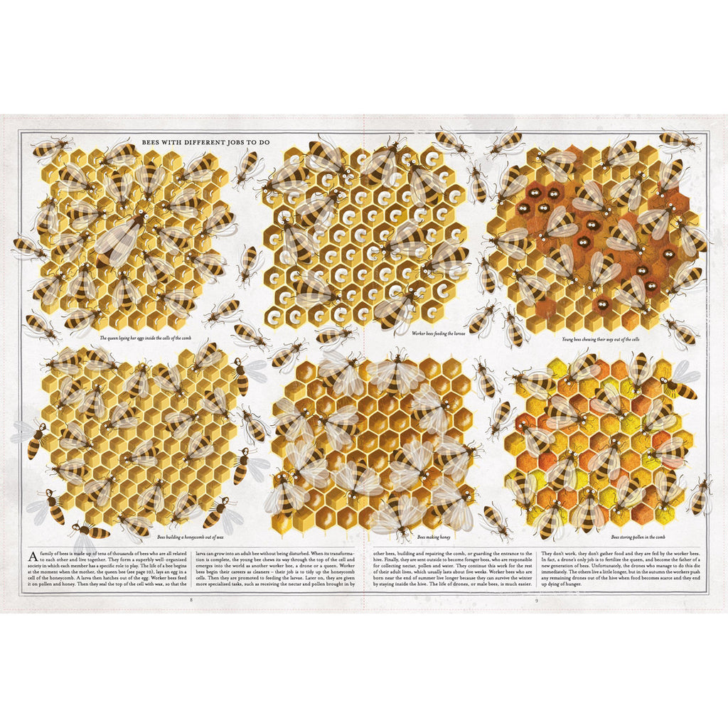 Book of Bees Bee Hive Page BOOK50950