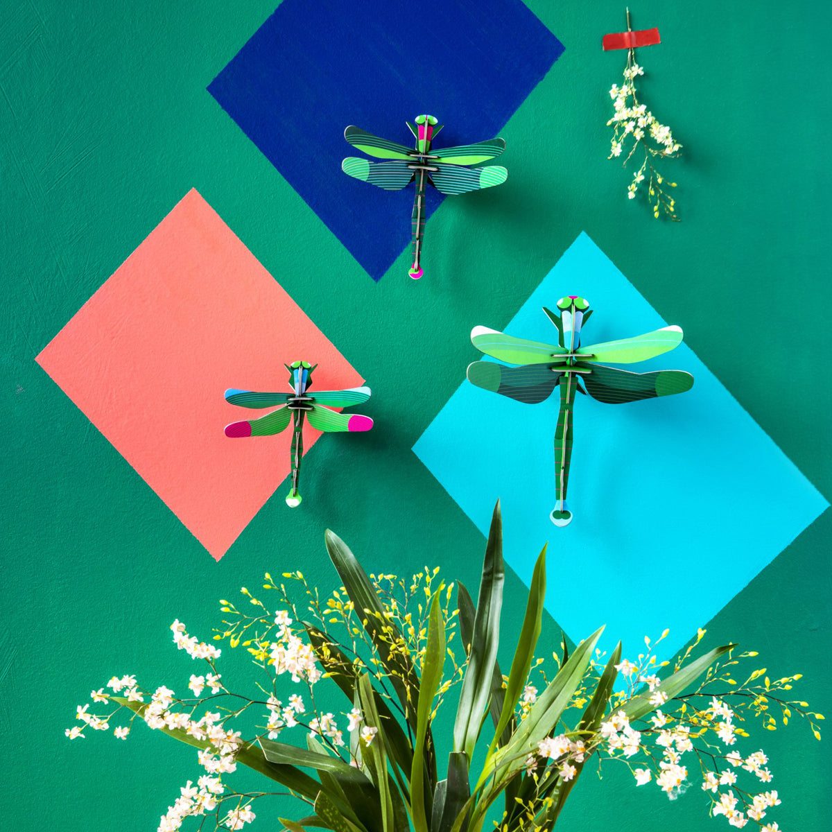 Insect Set - Dragonflies