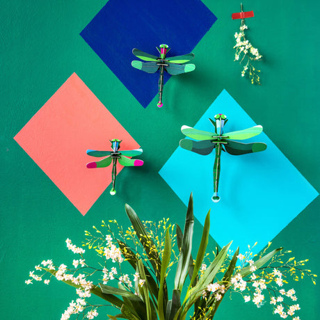 Insect Set - Dragonflies