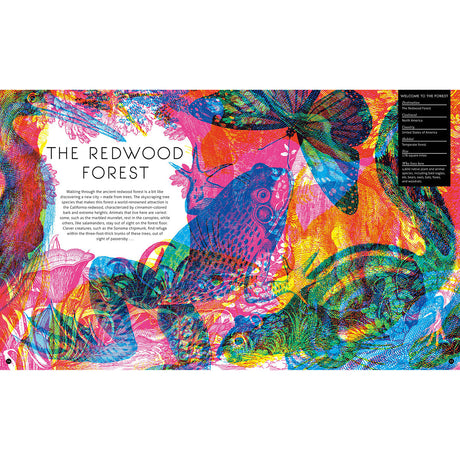  Illuminature Book Redwood Forest Page BOOK08868