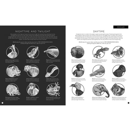  Illuminature Book Redwood Daylight, Nighttime and Twilight Page BOOK08868