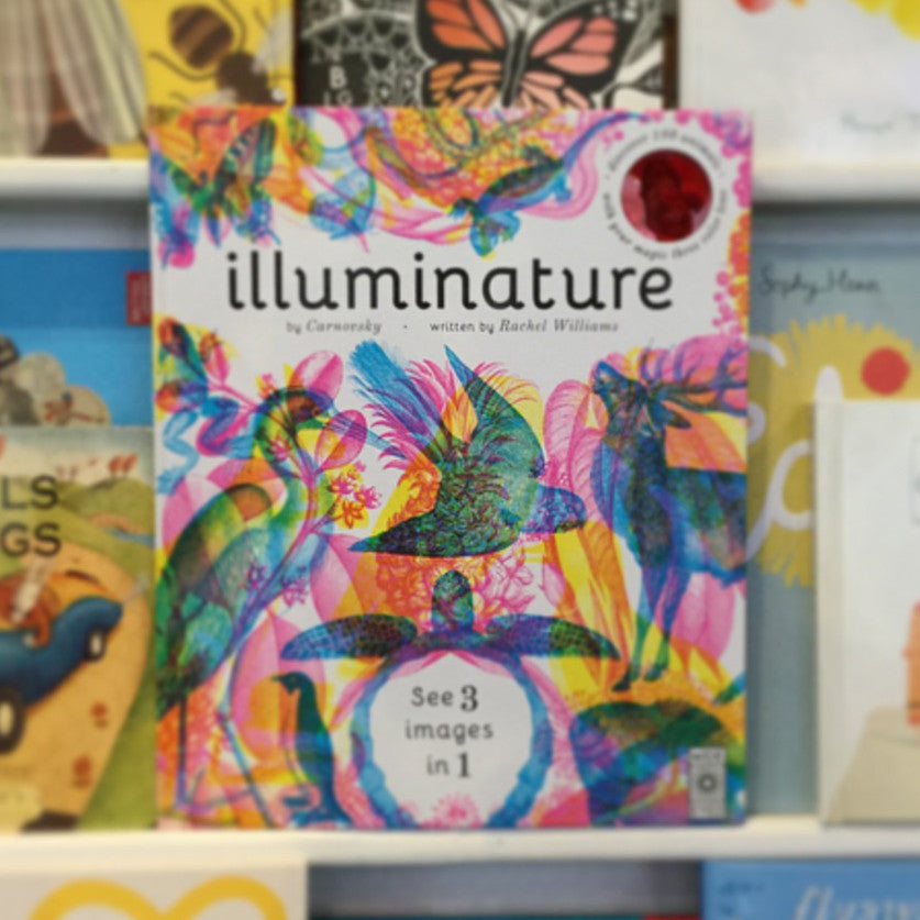  Illuminature BOOK08868