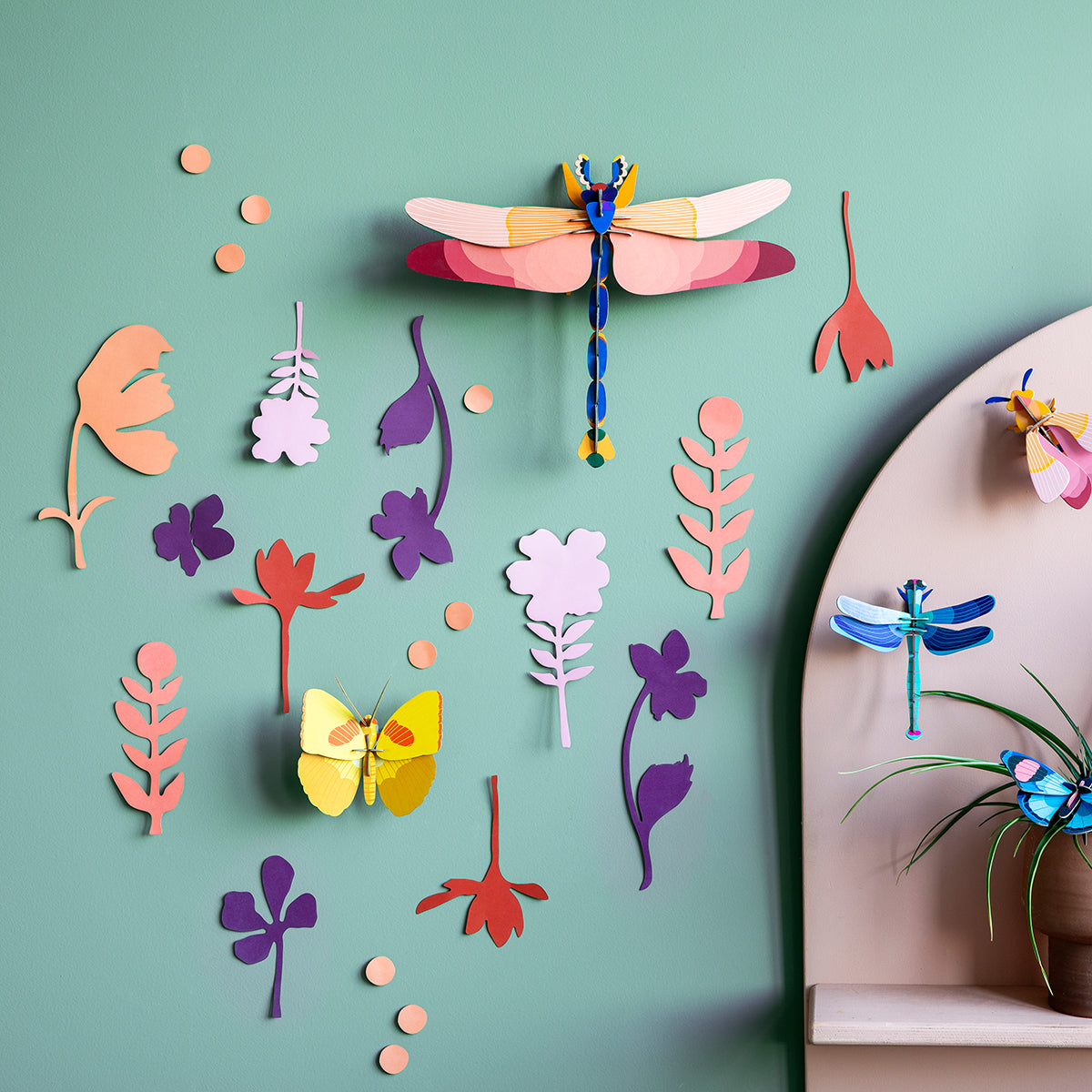 Wall of Curiosities - Insect Connoisseur