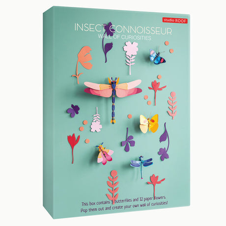 Wall of Curiosities - Insect Connoisseur