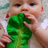 Kendall The Kale