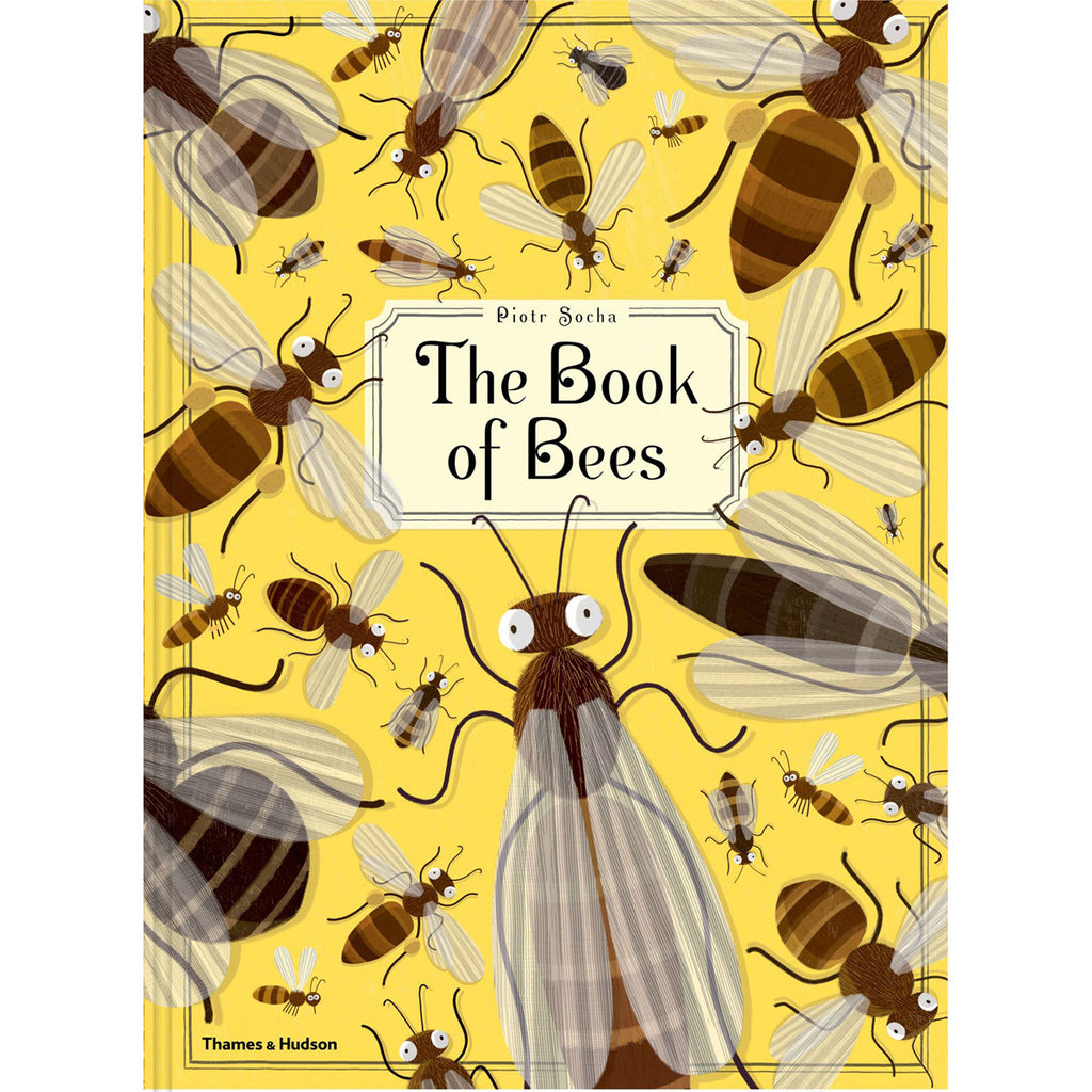 Book of Bees Front Cover BOOK50950