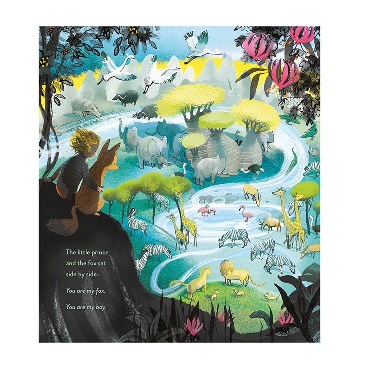 Little Remy Book The Little Prince Book